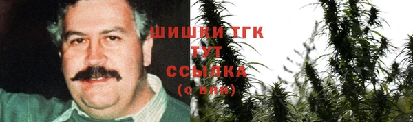 СК Алзамай