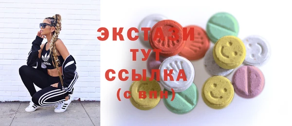 соль ск Алексин
