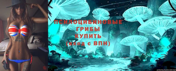 соль ск Алексин